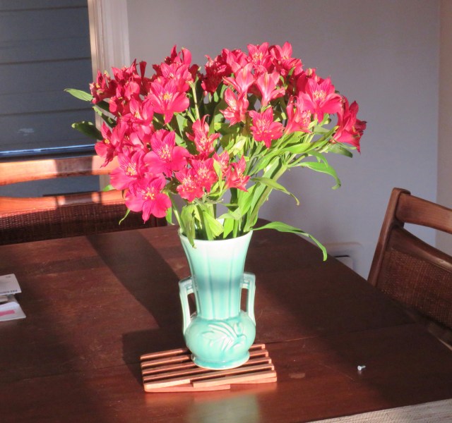 Doesn't it look like they're lit from within? Spectacular flowers to begin a lovely day.