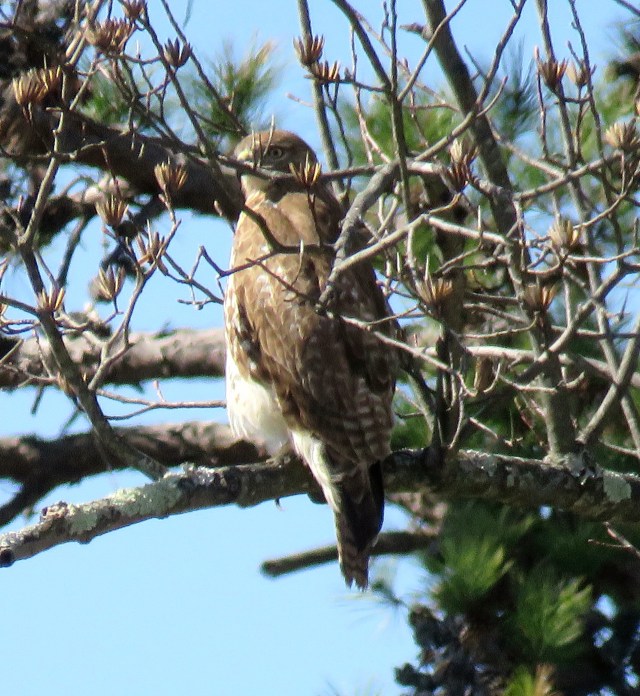 They have a distinctly disapproving look they save for when I get out of the car