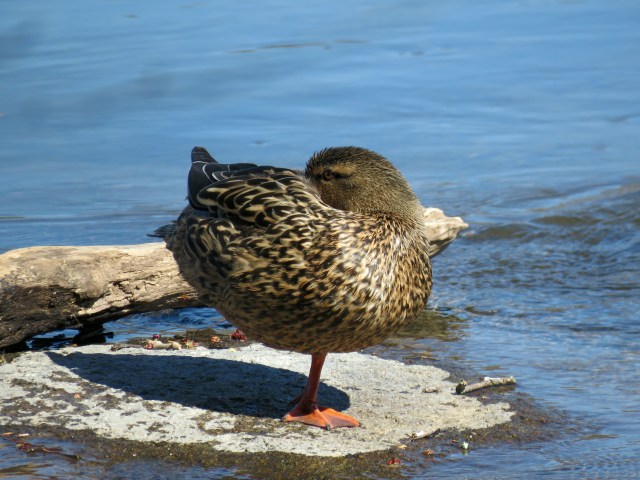 She's giving us the eye