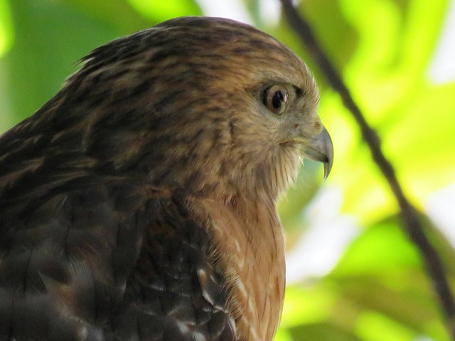 Hard to believe it's Virginia in January; it looks like the tropics. 
