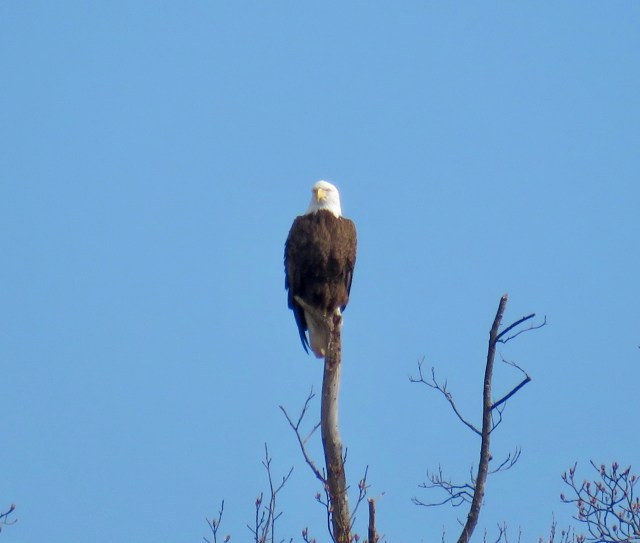 "Well that's a blessing!"