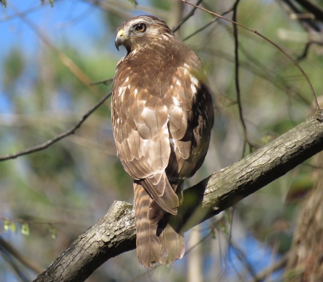 All over town. It's just remarkable. 